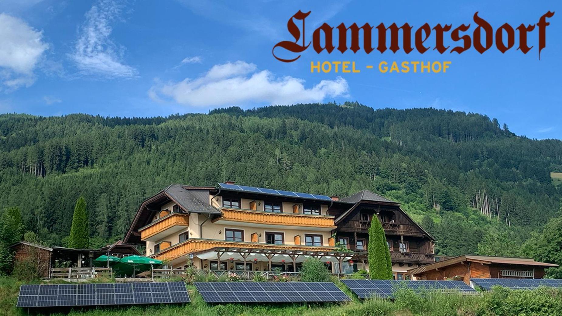 Hotel-Gasthof Lammersdorf มิลชตัทท์ ภายนอก รูปภาพ